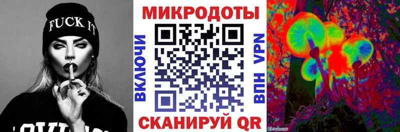 МЕГА как войти цены Элиста Псилоцибиновые грибы мицелий