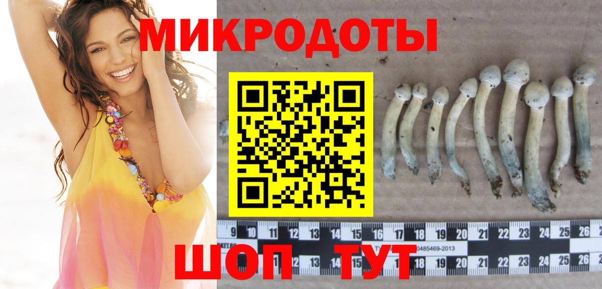 Элиста  Псилоцибиновые грибы ЛСД  Вход с VPN 